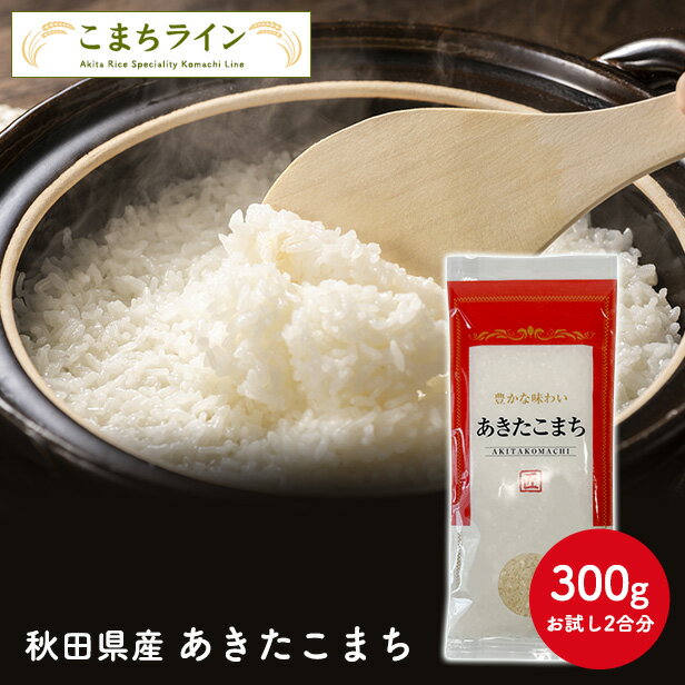 ポイント消化！【白米300g】令和5年産 秋田県産 あきたこまち 300g 精米したて 送料無料