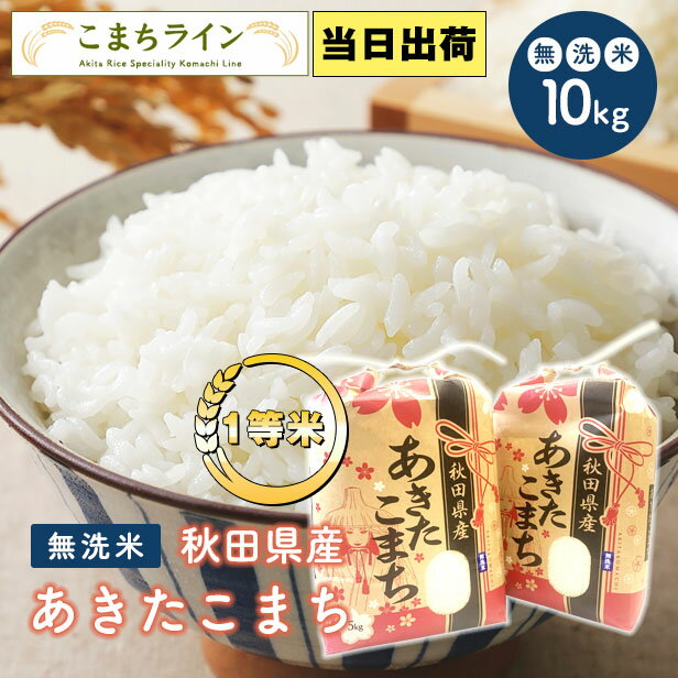 【無洗米10kg】令和4年産　秋田県産　あきたこまち10kg 5kg×2袋　令和4年...