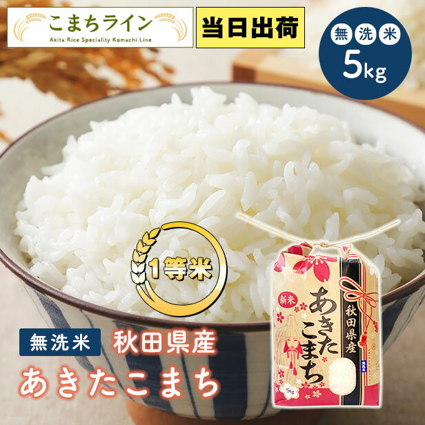 【無洗米5kg】令和4年産　秋田県産　あきたこまち　5kg　　米びつ当番【天鷹唐辛子】プレゼント付き　米　5kg　無洗米　送料無料　父の日