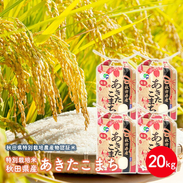 【抽選で最大100％ポイントバック！】【白米20kg特栽】令和5年産　秋田県特別栽培農産物認証米　特別栽培米　秋田県産あきたこまち　20kg 5kg×4袋安心・安全おいしいお米　米びつ当番プレゼント付き　玄米　白米　精米　三分　五分　七分　選べる精米方法のサムネイル