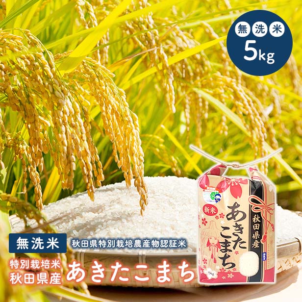 【無洗米5kg特栽】　令和5年産　秋田県特別栽培農産物認証米