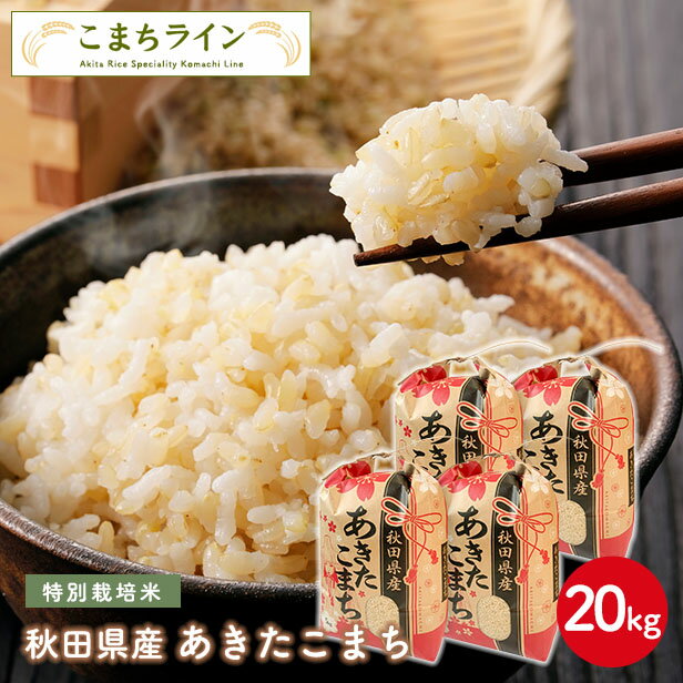 【玄米20kg】秋田県産 特別栽培米 あきたこまち20kg 5kg×4袋　令和4年産　一等米　厳選されたおいしいお米米びつ当番【天鷹唐辛子】プレゼント付き玄米父の日ギフトのサムネイル