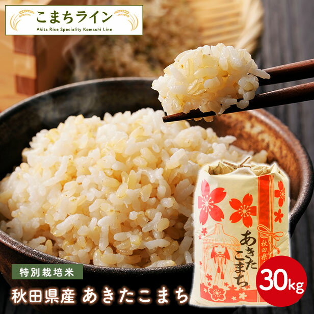 【玄米30kg】秋田県産　特別栽培米 あきたこまち　30kg　 令和4年産　一等米　厳選　送料無料　米びつ当番【天鷹唐辛子】プレゼント付き玄米　お米父の日ギフトのサムネイル