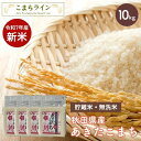 新米!【貯蔵米 無洗米10kg】令和7年産 秋田県産 あきたこまち10kg 2.5kg×4袋令和7年産 厳選 送料無料 米 10kg米びつ当番【天鷹唐辛子】プレゼント付き贈り物