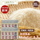 新米!【貯蔵米 無洗米20kg】令和7年産 秋田県産 あきたこまち20kg 2.5kg×8袋令和7年産 厳選 送料無料 米 20kg米びつ当番【天鷹唐辛子】プレゼント付き贈り物