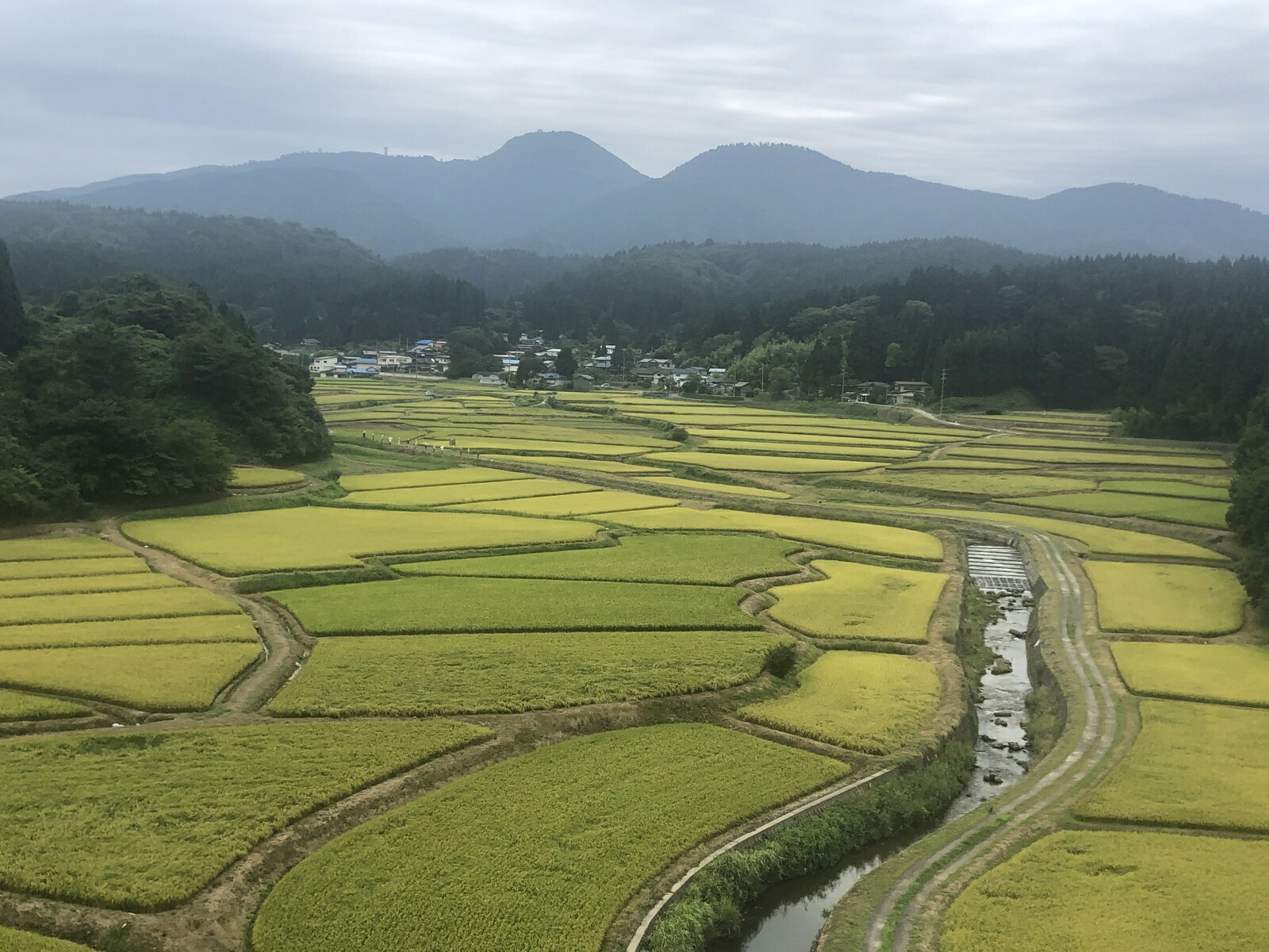 新米！！令和2年産　お待たせしました！！家計お助け米　農家直送便　10kg（5kg×2袋）米びつ当番【天鷹唐辛子】プレゼント付き