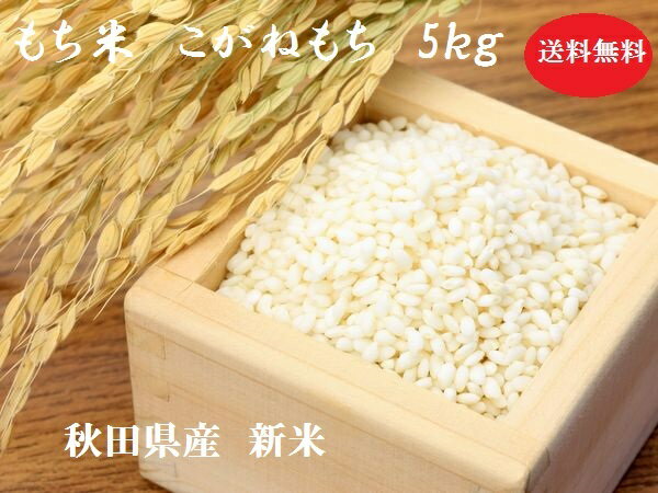 もち米　秋田県産　こがねもち　3kg米びつ当番【天鷹唐辛子】プレゼント付き