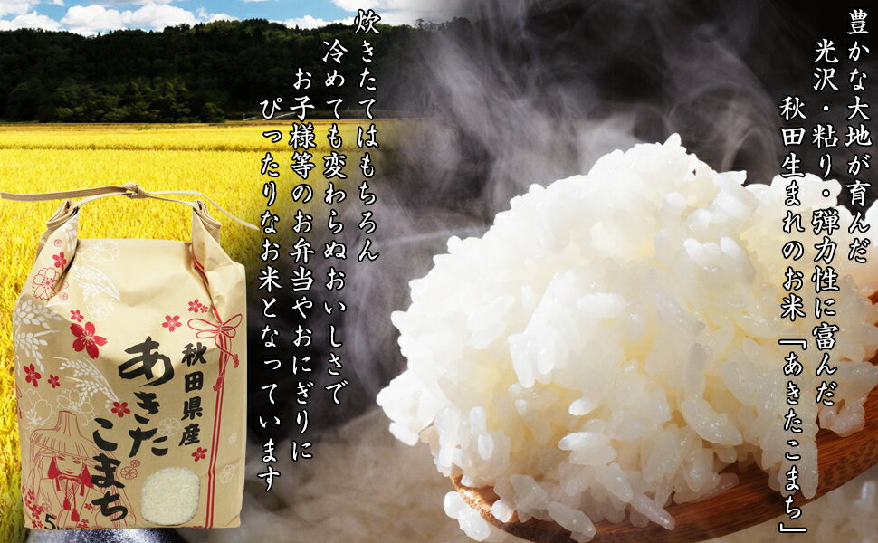 新米！！【精米】秋田県産　あきたこまち10kg 5kg×2袋　令和2年産　一等米　厳選されたおいしいお米米びつ当番【天鷹唐辛子】プレゼント付き選べる精米方法 組み合わせ自由