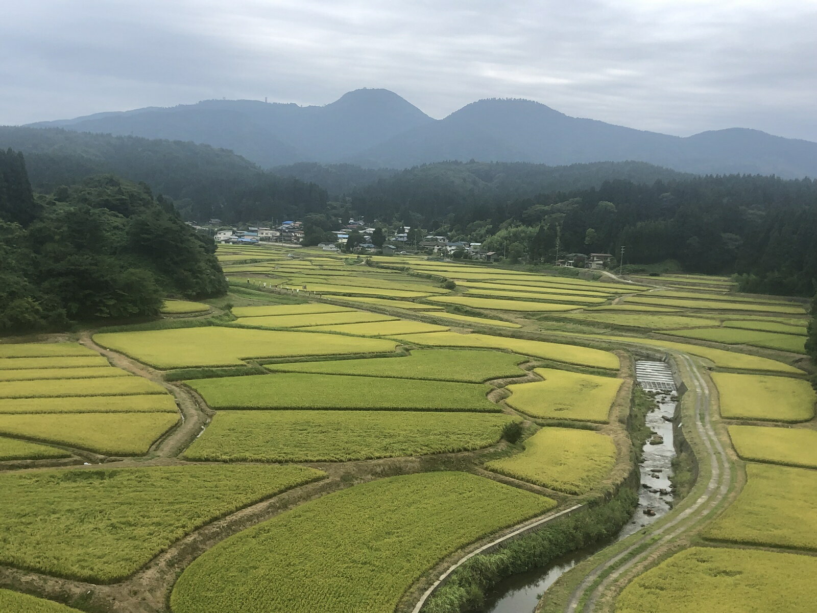 新米！！【精米】秋田県産　あきたこまち10kg 5kg×2袋　令和2年産　一等米　厳選されたおいしいお米米びつ当番【天鷹唐辛子】プレゼント付き選べる精米方法 組み合わせ自由