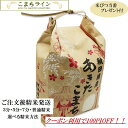 【精米】秋田県産 あきたこまち 5kg 米びつ当番【天鷹唐辛子】プレゼント付き 選べる精米方法