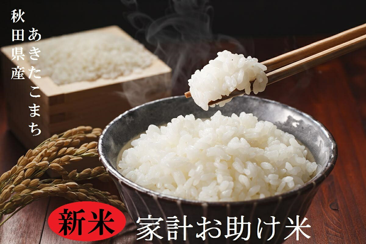 新米！！令和2年産　お待たせしました！！家計お助け米　農家直送便　10kg（5kg×2袋）米びつ当番【天鷹唐辛子】プレゼント付き