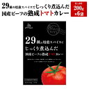 国産ビーフの熟成トマトカレー 6個入り　レトルトカレー　熟成　トマトカレー　箱入り　6次加工品