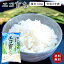 【精米 10kg】【令和2年産 石川県産こしひかり】安心、安全な石川県小松産 特別栽培米 コシヒカリ「エコ育ち 石川県産 JA 農協米 環境王国