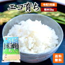 【精米 5kg】【令和1年産 石川県産こしひかり】安心、安全な石川県小松産　特別栽培米　コシヒカリ「エコ育ち　石川県産　JA　農協米　環境王国