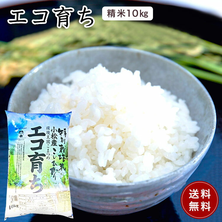 【令和3年産】【新米】【精米 10kg】【令和3年産 石川県産こしひかり】安心、安全な石川県小松産　特別栽培米　コシヒカリ「エコ育ち　石川県産　JA　農協米　環境王国