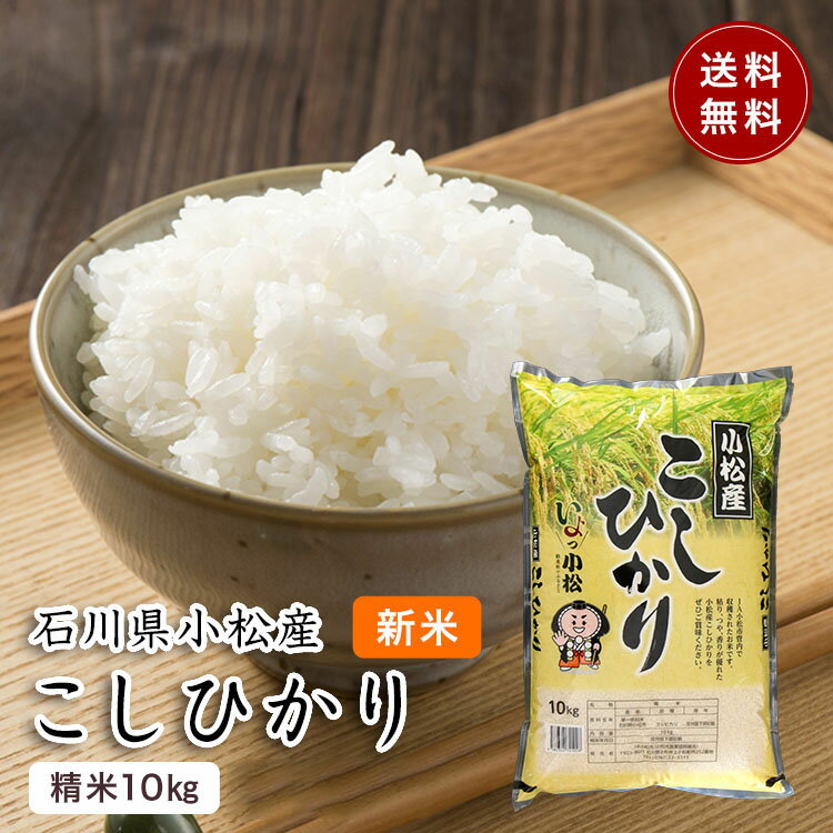 【令和5年産1等米】精米 10kg 【令和5年産 石川県小松