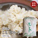 令和5年産米発売開始致します。【令和5年産】「勧進帳のふるさと」石川県小松産特別栽培米 コシヒカリ 蛍米 玄米10キロ 1等米石川県産..