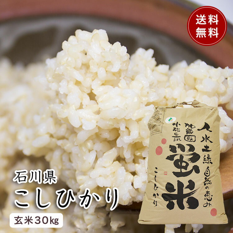 【令和3年産】【石川県こしひかり】【新米】【特別栽培米 コシヒカリ 蛍米1等米 玄米30kg】石川県 小松産 石川県産米 JA 農協米