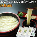 送料無料 うどん三昧 新まるごとはじめてつゆ付きAセット 讃岐うどん 【楽ギフ_包装】 【RCP】