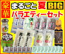 送料無料 うどん 香川県産 高知県産豪華 まるごとBIGバラエティーセット【楽ギフ_包装】【楽ギフ_のし】お中元 お歳暮 母の日 父の日 冠婚葬祭等におすすめ!