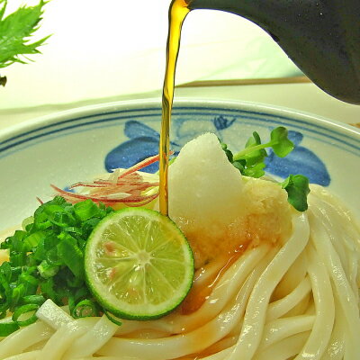 送料無料大根おろし醤油・釜玉うどん16食Aセット（半生讃岐うどん）鎌田醤油製うどん醤油付きのポイント対象リンク