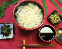 【あす楽対応】 送料無料 つゆ付き半生完熟 讃岐うどん 並麺・細麺20食つゆ付きBセット 【楽ギフ_包装】お中元 お歳…