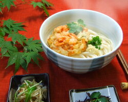 風呂敷包みセット 完熟讃岐うどん 細麺N6_さぬきうどん【楽ギフ_包装】