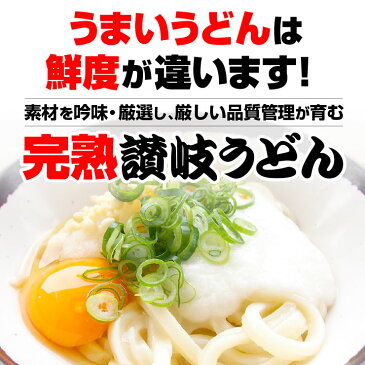 完熟讃岐うどん細麺つゆなしセット20人用さぬきうどん香川県産【楽ギフ_包装】