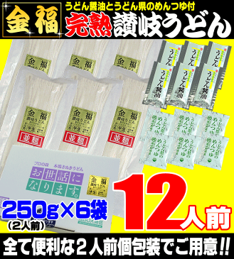 金福 完熟 讃岐うどん 16人前セット 【お土産・ご自宅用に最適】半生さぬきうどん お中元 お歳暮　母の日 父の日 敬老の日ギフト等に！