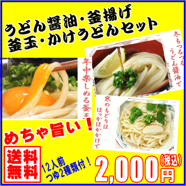 送料無料 うどん醤油・釜揚げ・釜玉・かけうどんセット半生 讃岐うどん【楽ギフ_包装】【RCP】