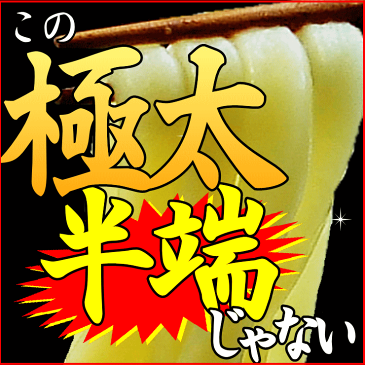 蘇る・・ガツンとくる男!極太麺10人前セット1,640円が⇒今だけ!ナント!激得1,000円【ゆうメール便】【送料無料】 格安 激安