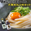 送料無料 讃岐ぶっかけ醤油うどん