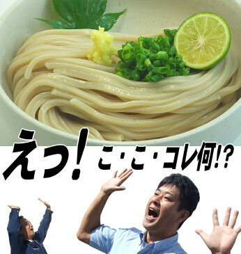 【送料無料(一部地域除く)】黒のさぬきうどんつゆ付セット讃岐うどん【楽ギフ_包装】【RCP】