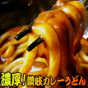 送料無料 具たっぷり!業務用 讃岐ビーフカレーうどん2人前セット ネコポス