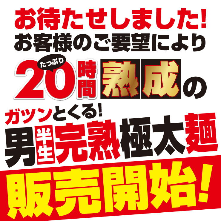 【1000円ぽっきり】 激ウマ 讃岐 熟成 半生 完熟 極太麺 便利な個包装 250g×3袋 750g 送料無料 最安値挑戦 お取り寄せお試し ぽっきり