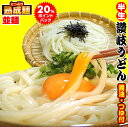 20時間熟成 半生 並 讃岐うどん つゆ付きセット 便利な個包装 750g 送料無料 最安値挑戦 お取り寄せ お試し