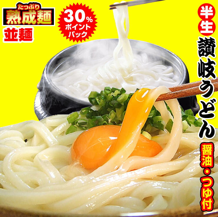 20時間熟成 半生 並 讃岐うどん つゆ付きセット 便利な個包装 750g 送料無料 最安値挑戦 お取り寄せ お試し