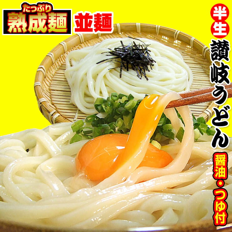 20時間熟成 半生 並 讃岐うどん つゆ付きセット 便利な個包装 750g 送料無料 最安値挑戦 お取り寄せ お試し