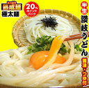 20時間熟成 半生 極太 讃岐うどん つゆ付きセット 便利な個包装 750g 送料無料 最安値挑戦 お取り寄せ お試し