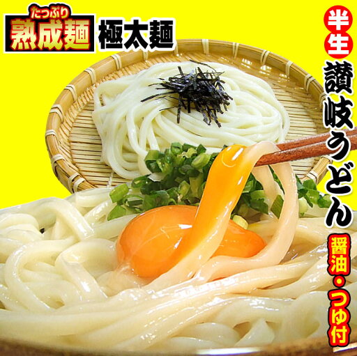 20時間熟成 半生 極太 讃岐うどん つゆ付きセット 便利な個包装 750g 送料無料 最安値挑戦 お取り寄せ お試し 20時間熟成 半生 極太 讃岐うどん つゆ付きセット 便利な個包装 750g 送料無料 最安値挑戦 お取り寄せ お試し
