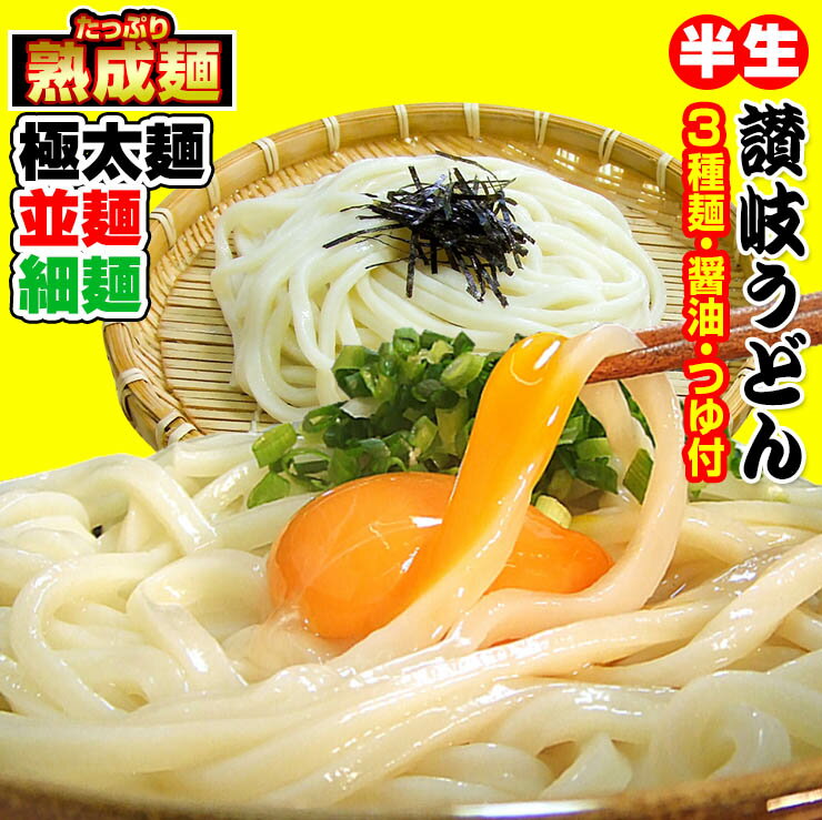 クーポン利用で！690円OFF 20時間熟成 半生 讃岐うどん 3種麺 つゆ付きセット 極太麺 並麺 細麺 750g 送料無料 最安…