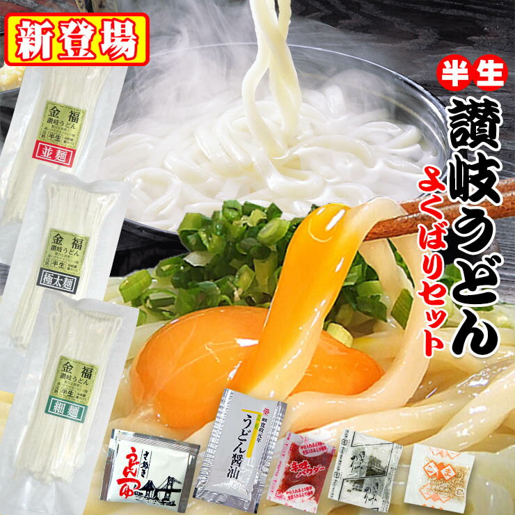 20時間熟成 半生 讃岐うどん 3種（極太・並・細） 750g つゆ付 欲張りセット 最安値挑戦 特産品 ポイント利用 お試し商品 サンプル