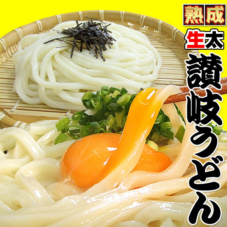 讃岐 熟成 ちょい生太 うどん 7.5食 便利な個包装 250g×3袋 750g 送料無料 最安値挑戦 お取り寄せ お試し 【1000円ポッキリ】