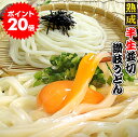 今だけ！ポイント20倍 讃岐 熟成 半生 完熟 並切麺 便利な個包装 250g×3袋 750g 送料無料 最安値挑戦 激ウマ お取り寄せお試し ぽっきり ★★