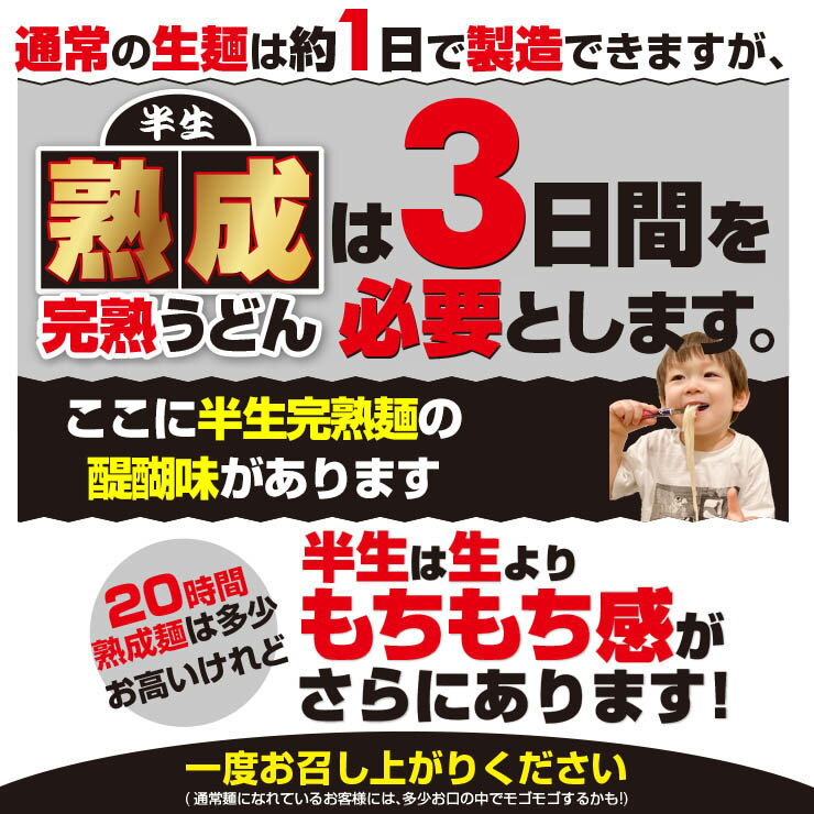 【1000円ぽっきり】 激ウマ 讃岐 熟成 半生 完熟 極太麺 便利な個包装 250g×3袋 750g 送料無料 最安値挑戦 お取り寄せお試し ぽっきり