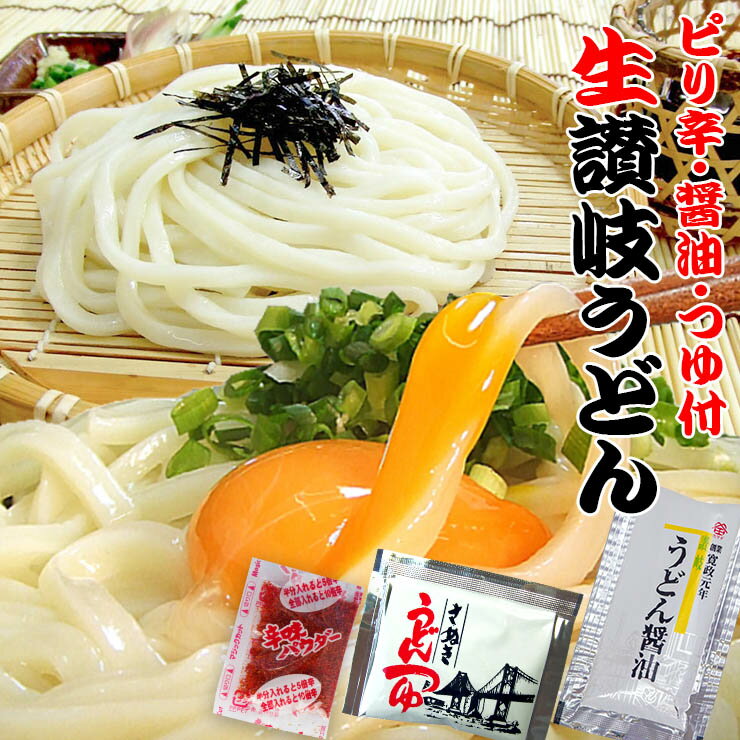 送料無料 ピリ辛・醤油・つゆ付き 生讃岐うどん 500g（1袋250g×2） ネコポス お取り寄せ 激安 得トクセール 特産品 ぽっきり