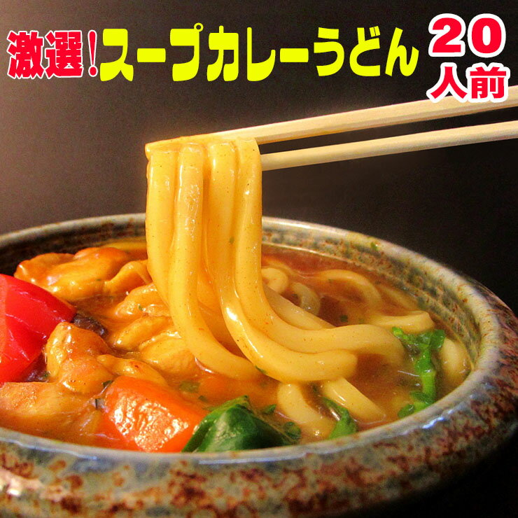 サラリ味＆とろ～り味・・2通りの味が楽しめる激選スープカレー 讃岐うどん ！ナント！20人前【RCP】スープカレーうどん【宅配便】 送料無料