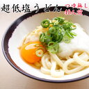 超低塩うどん ソフト麺 つゆなし40人用