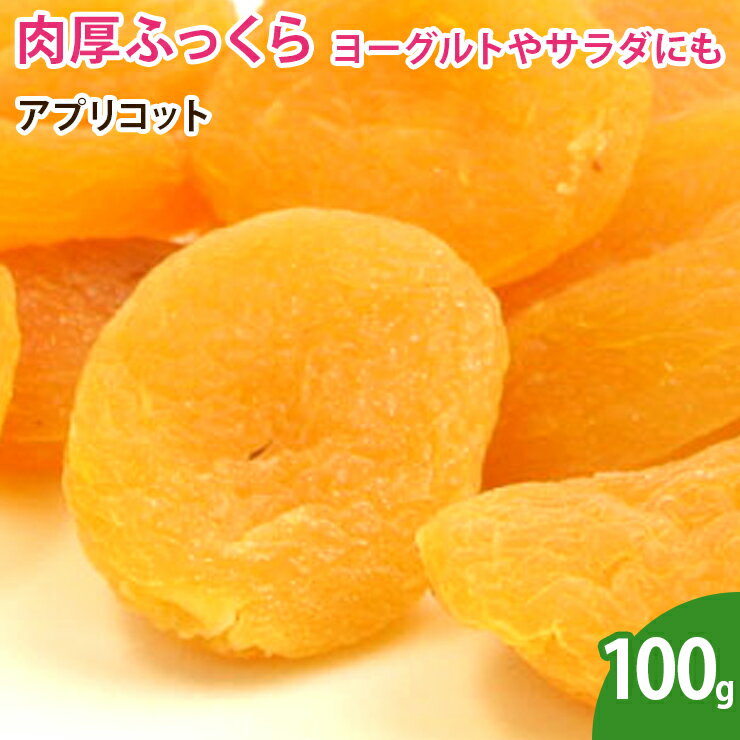 アプリコット（あんず） 100g ドライフルーツ