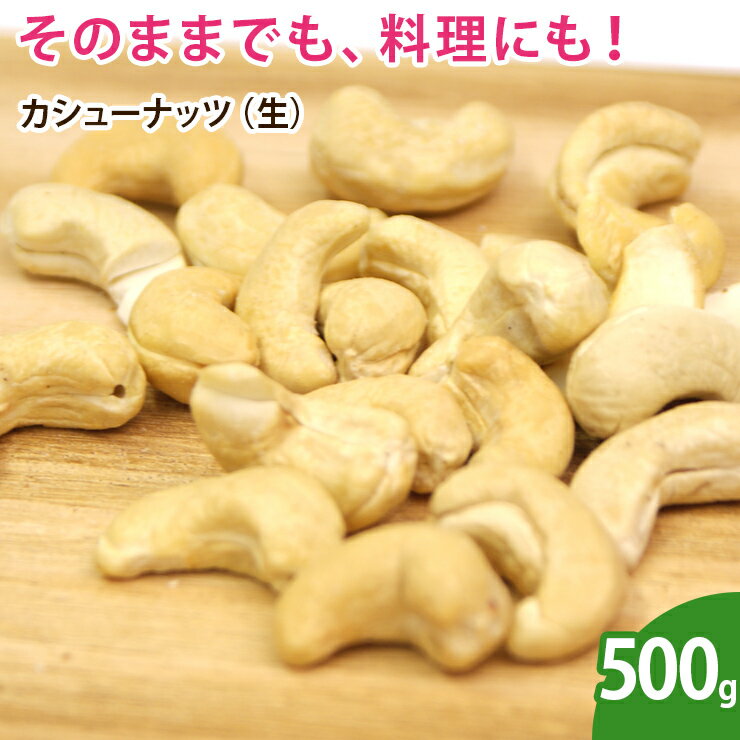 カシューナッツ(生) 500g 無添加 ナッツの商品画像